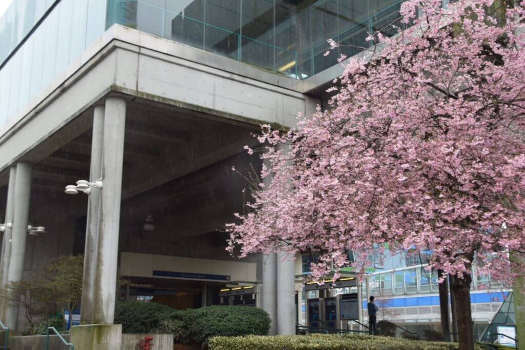 カナダ高校留学　保護者