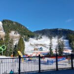 IMG 9879