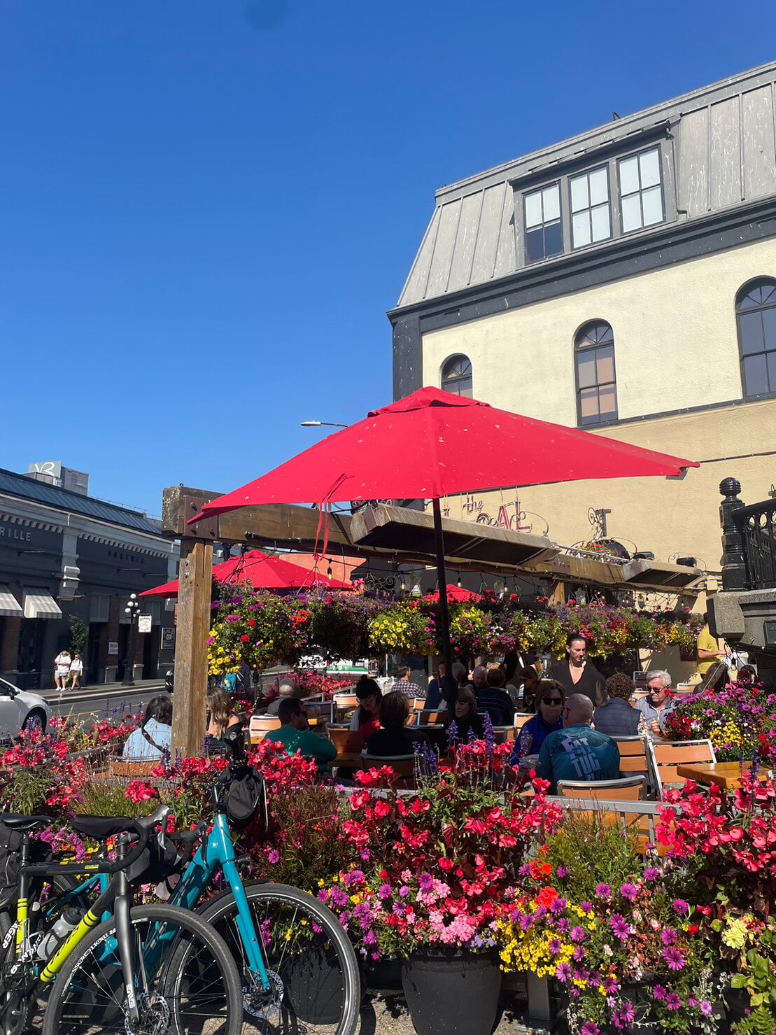 カナダ留学サポート