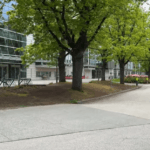 カナダのカレッジと大学