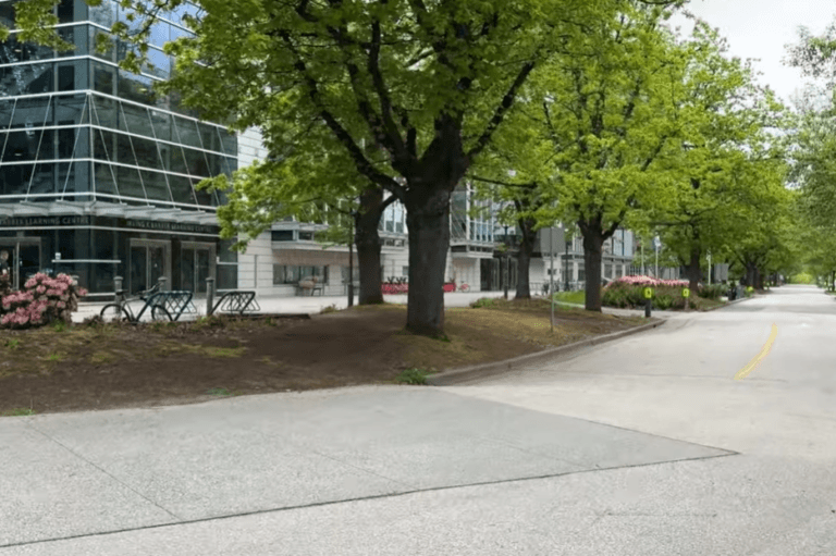 カナダのカレッジと大学