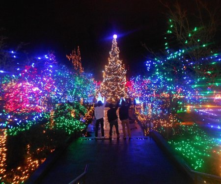 カナダ高校留学サポート