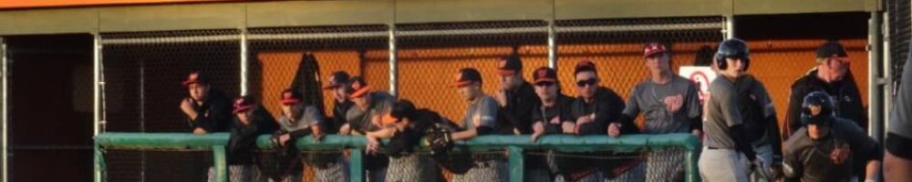 カナダ高校野球留学サポート